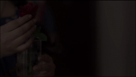 Vasudha - 12th May 2025